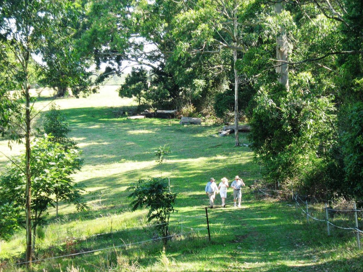 Bellthorpe Stays Maleny Exterior photo