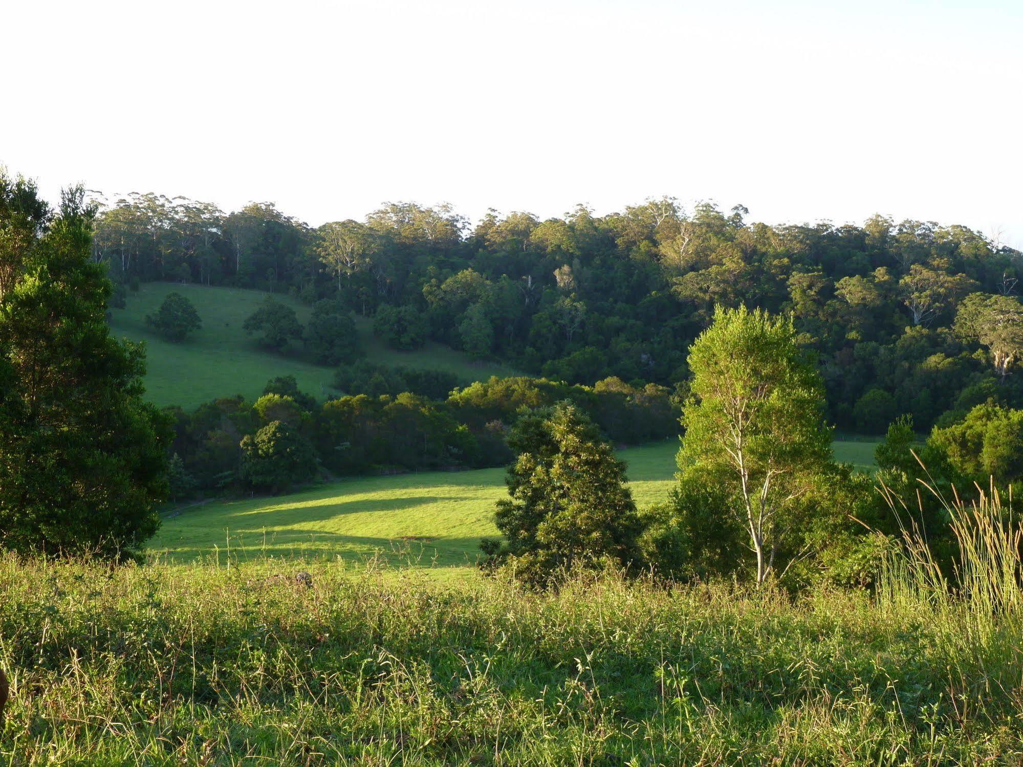 Bellthorpe Stays Maleny Exterior photo