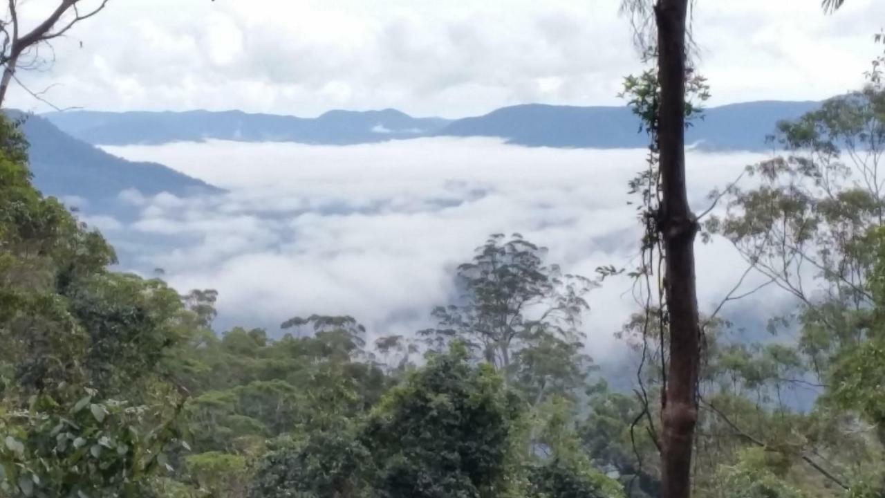 Bellthorpe Stays Maleny Exterior photo